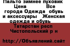 Пальто зимнее пуховик › Цена ­ 2 500 - Все города Одежда, обувь и аксессуары » Женская одежда и обувь   . Татарстан респ.,Чистопольский р-н